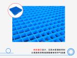 1111网格双面塑料托盘-2
